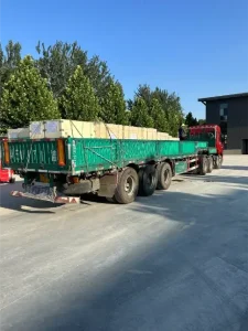 Loading_of_Hydraulic_cylinders